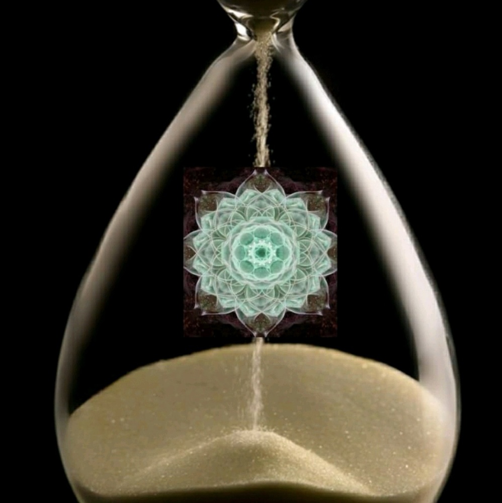 Meet your Posher, Lotus hour